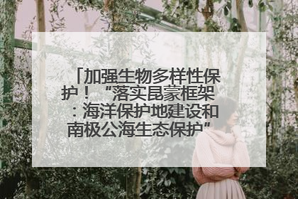 加强生物多样性保护！“落实昆蒙框架：海洋保护地建设和南极公海生态保护”主题论坛将举办